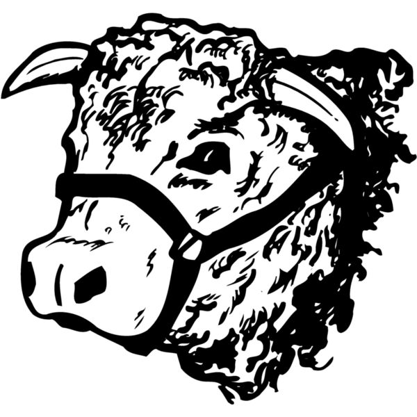 COW003 Thumbnail